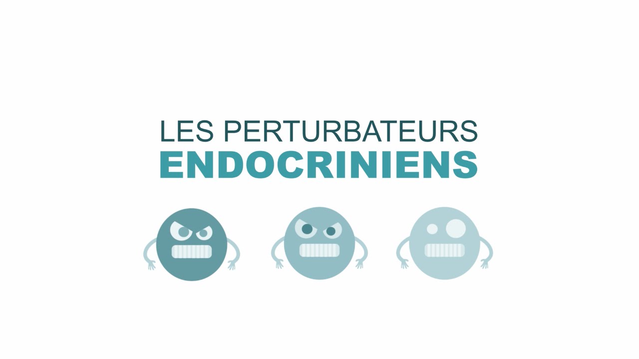 Les Perturbateurs endocriniens