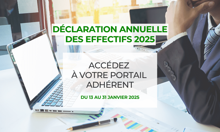 DÉCLARATION ANNUELLE DES EFFECTIFS 2025